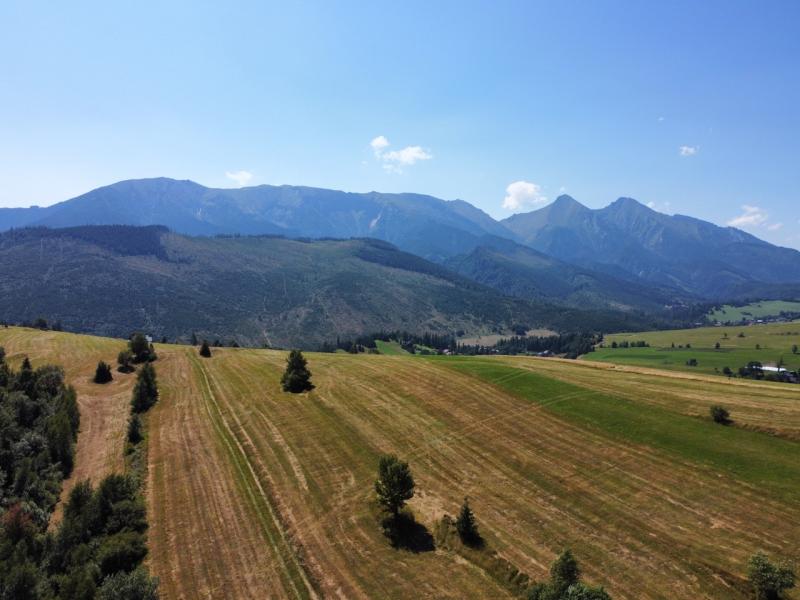 Výhľad na Belianské Tatry